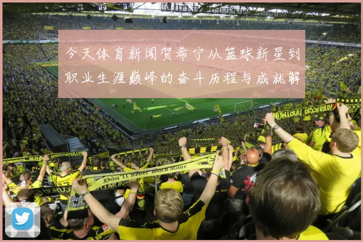 今天体育新闻贺希宁从篮球新星到职业生涯巅峰的奋斗历程与成就解析